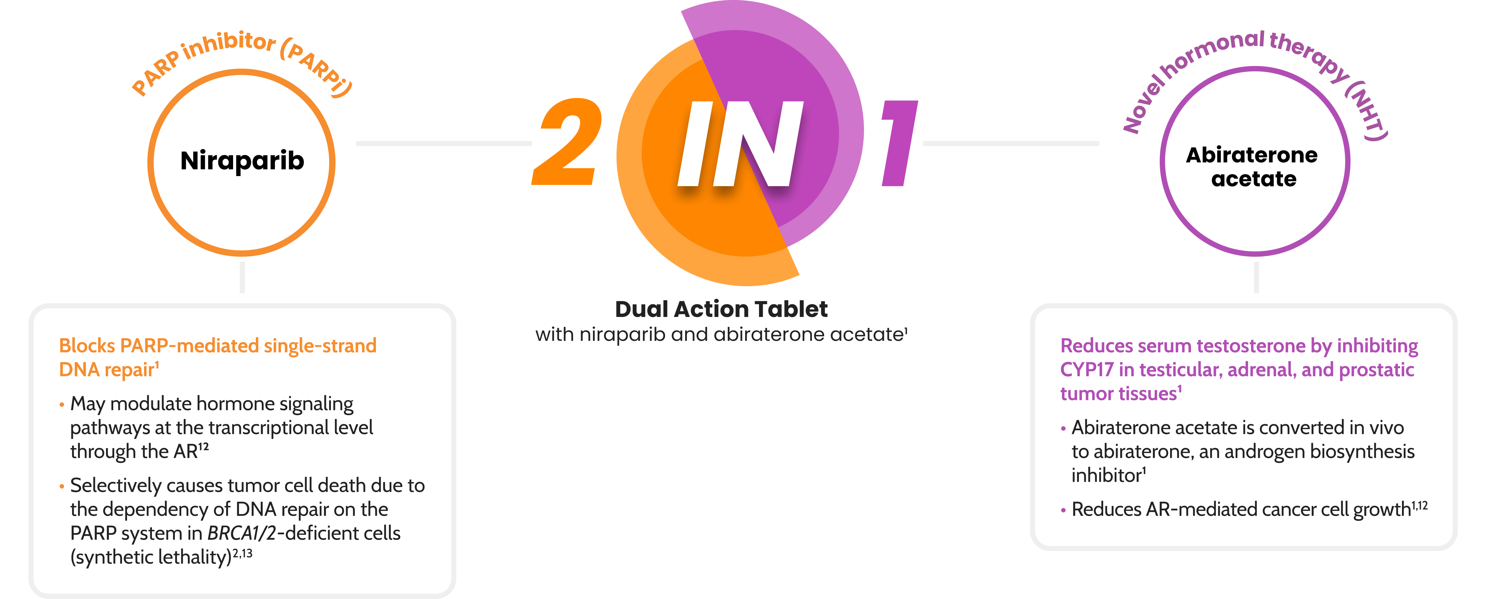 2-in-1 Dual Action Tablet with niraparib and abiraterone acetate infographic