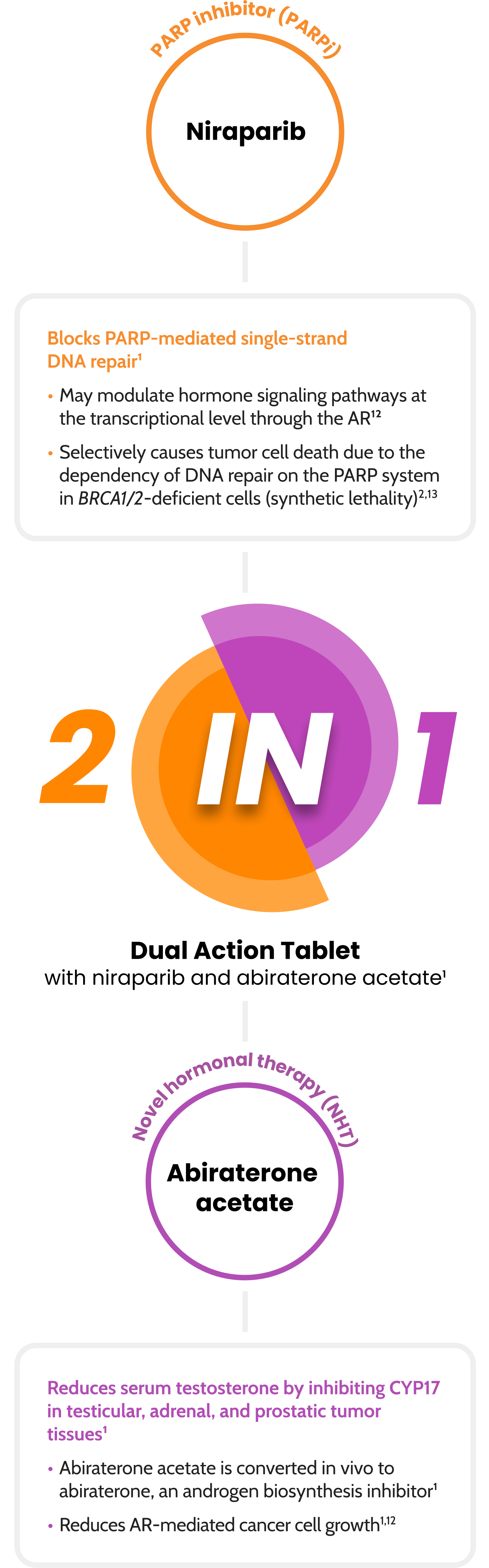 2-in-1 Dual Action Tablet with niraparib and abiraterone acetate infographic
