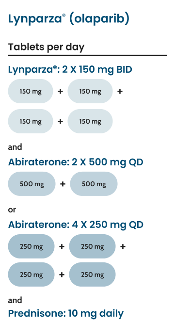 Lynparza® (olaparib) recommended dose graphic displaying up to 9 pills taken daily