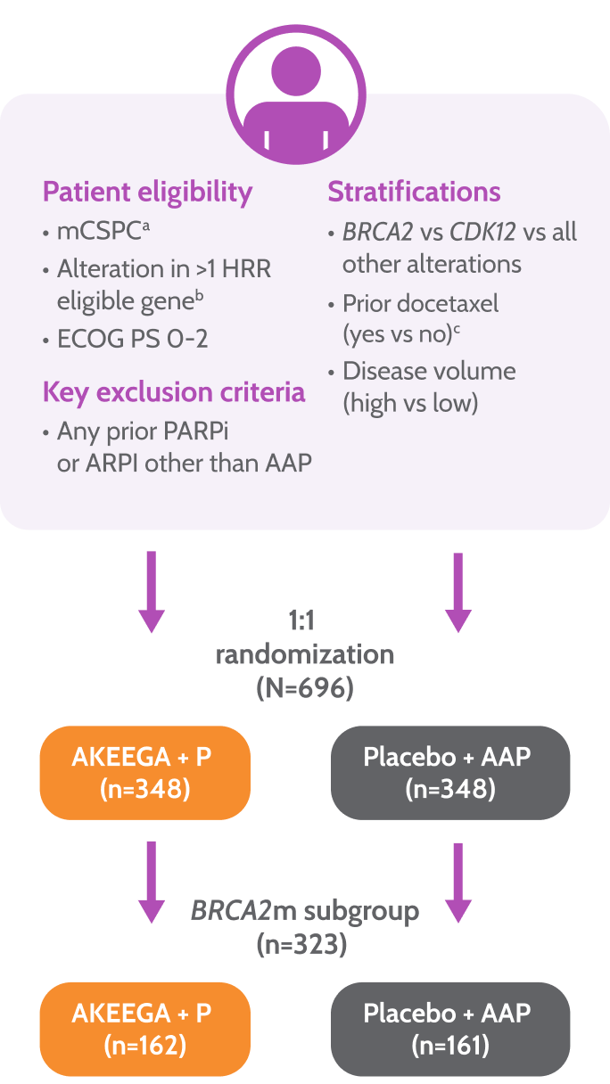 MAGNITUDE study design for AKEEGA® in mCRPC: eligibility, HRR stratification, 1:1 randomization, endpoints assessed